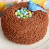 Cute Bird's Nest Theme Cake - Adorable cake adorned with edible birds and nest decorations, perfect for any celebration