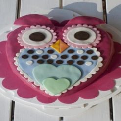 6854234287owl_theme_cake