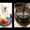 7879269342teddy_and_cake