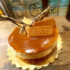 Lotus Biscoff Cheese Cake slice with creamy filling and crunchy biscuit crust